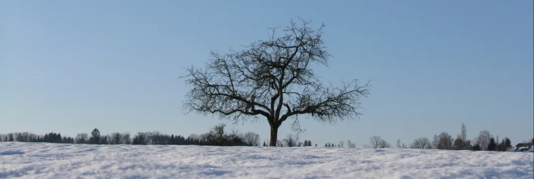Winter (Foto: Kirchenweb Service) Winter (Foto: Kirchenweb Service)