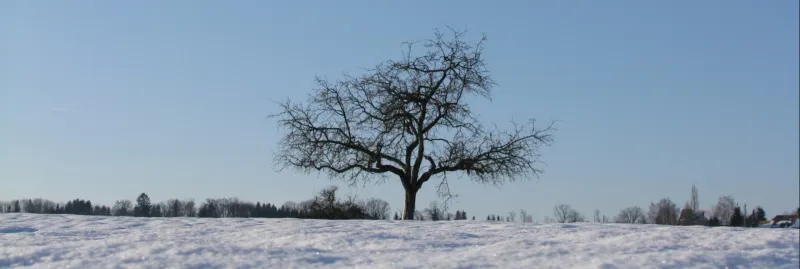Winter (Foto: Kirchenweb Service) Winter (Foto: Kirchenweb Service)
